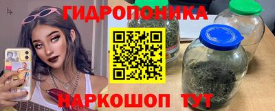 крисы Волгодонск