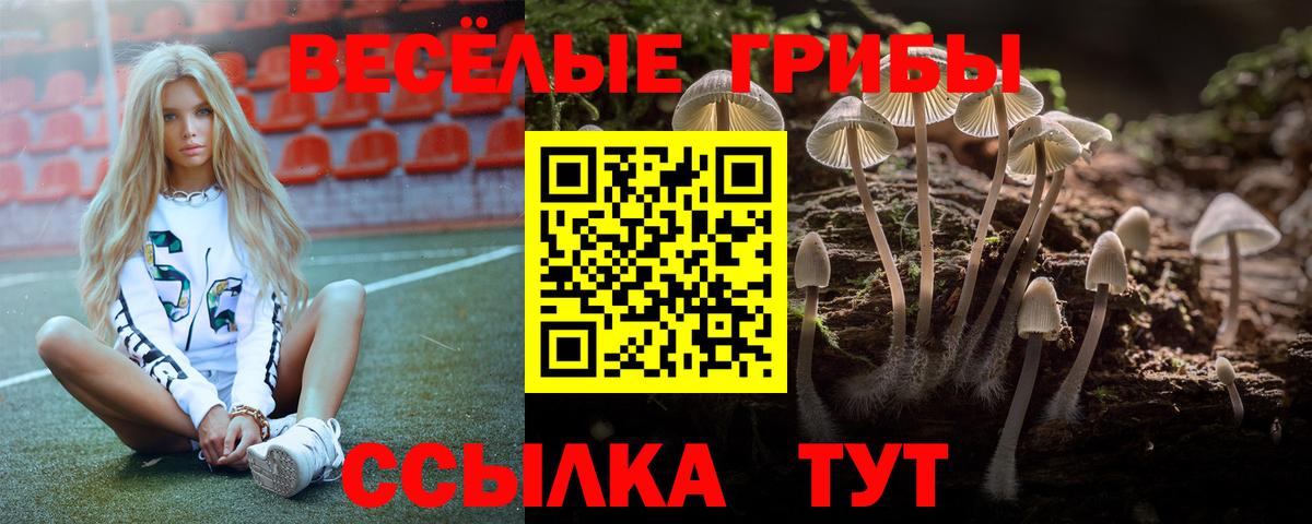 купить  сайты  Псилоцибиновые грибы мухоморы  Вход с VPN  Михайловск  Галлюциногенные грибы мухоморы 